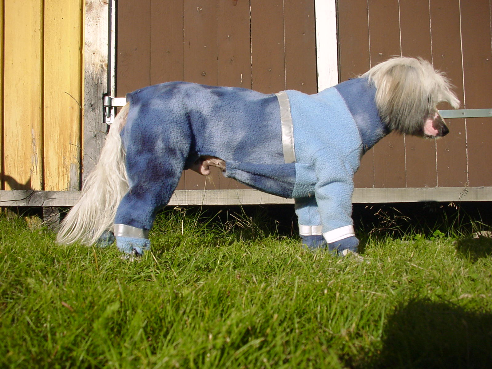 image58.jpg