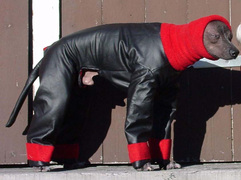skinnsin.jpg